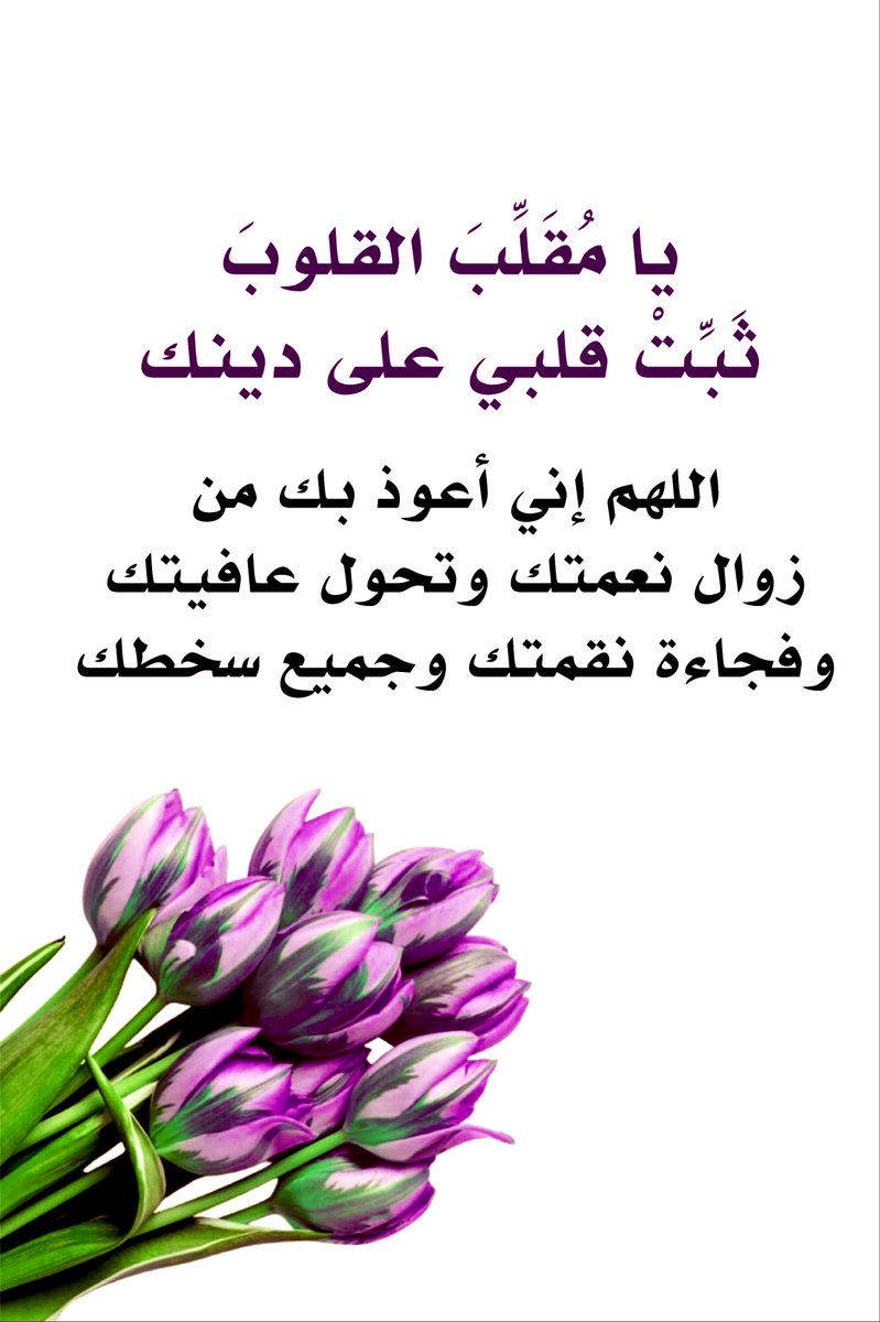 islamic_pic2's tweet photo. يا مقلب القلوب ثبت قلبي على دينك

@islamic_pic 
@islamic_pic2 
#بطاقات
#صور_إسلامية
#أذكار #دعاء https://t.co/G0UUgsFl77