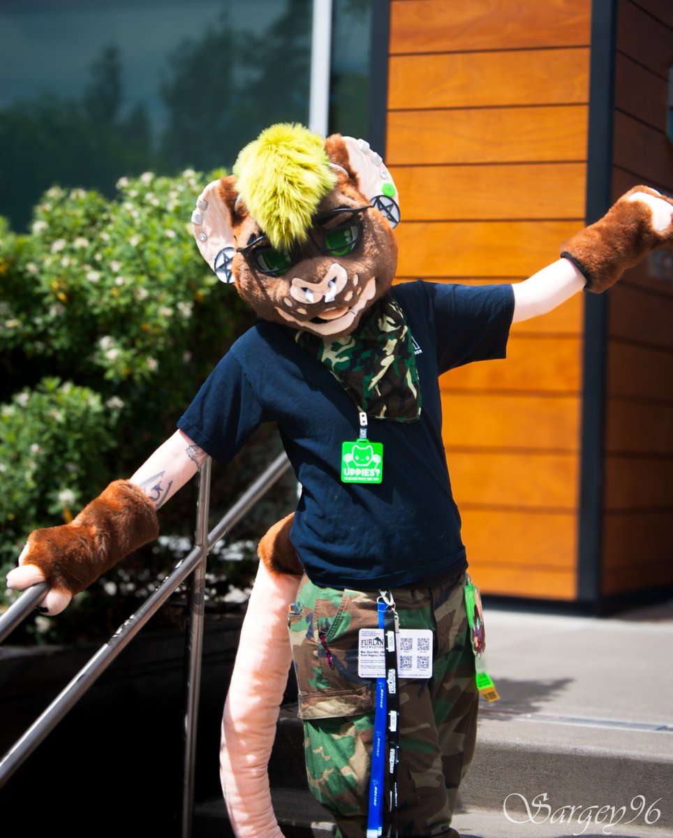 Sargey96's tweet photo. Fursuiter: toxic_crux._
Furlandia 2026
#fursuit #furlandia #furry #convention #furries https://t.co/IQPbxHPJma