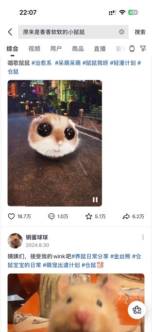 aa_AFeug's tweet photo. 抖音热搜第十
继“哈基米”后 多久没有Meme动物热词跑到热搜前排了 
下一个哈基米？ https://t.co/HBDWpxUZ4j
