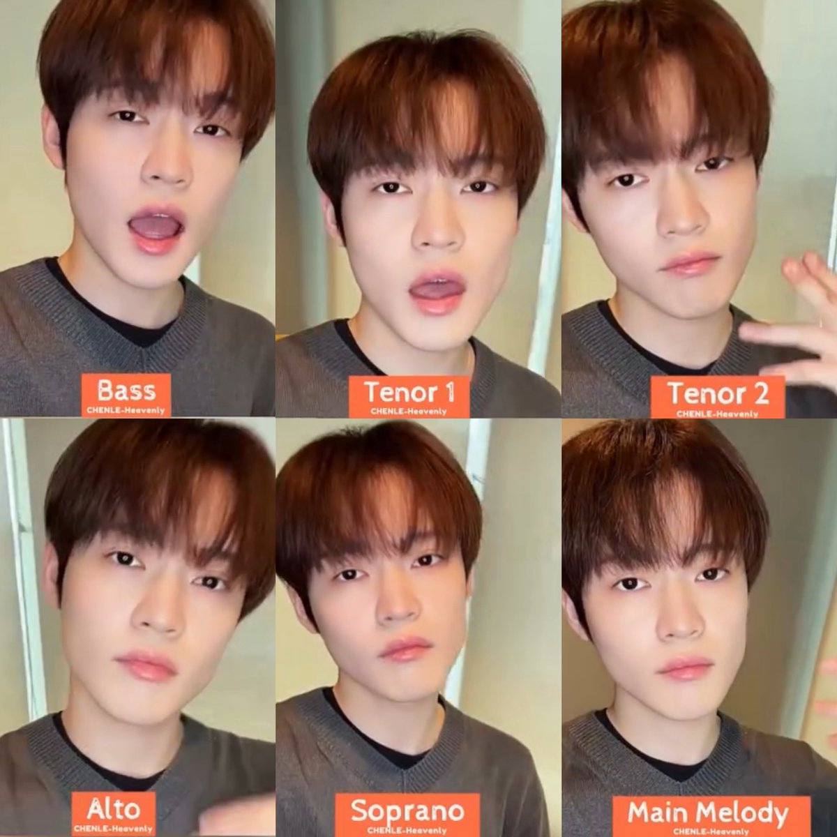 chenleveerse's tweet photo. the way chenle did all the vocal parts by himself 😭🫶🏻

- bass
- tenor 1
- tenor 2
- alto
- soprano
- main melody

that’s our main vocalist right there 🥹 https://t.co/uGvOpTTXKz