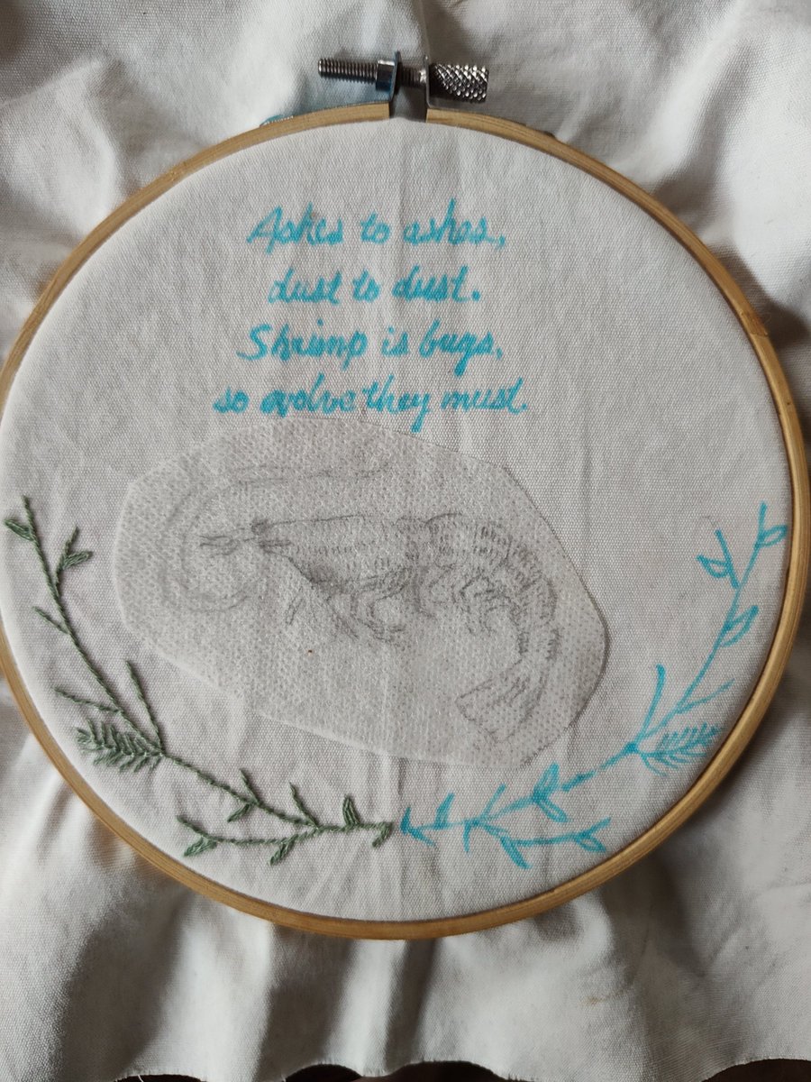 meguin's tweet photo. @hegelpill @oghofer @CathyYoung63 Oh wait, here is a pic of my WIP shrimp meme embroidery (shrimp are my other hobby)  if you can't read it, it says "ashes to ashes/ dust to dust / shrimp is bugs/ so evolve they must." The washable pen bled a bit. https://t.co/JzvkQ7x31H