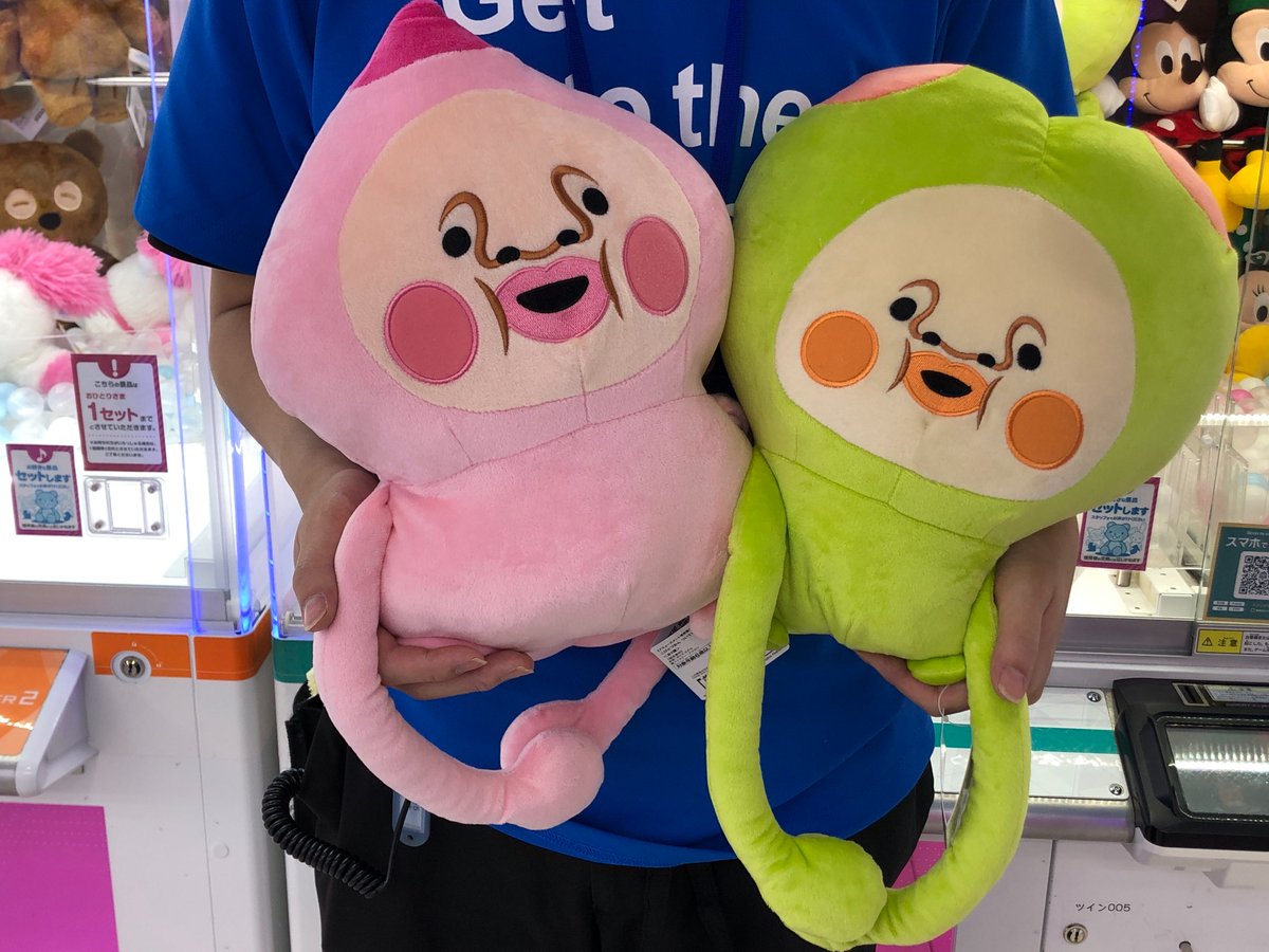 🌟プライズ情報🌟 こびとづかん ついていくよBIGぬいぐるみ 稼働開始