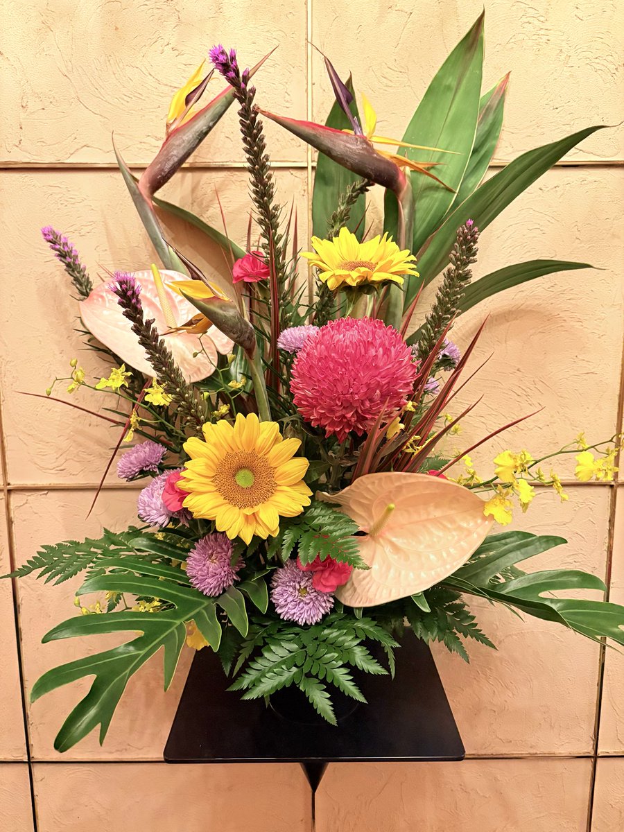 MikamiLaBell's tweet photo. La Belle et la Bête 〜花

本日のいけばな

向日葵とピオニーマムと...、
前回ポストと似た花材ですが
生け方でやっぱり全然違いますね
彩も佇まいも。

すごいね生花。

私は今日のが好きです。 https://t.co/AYzqrCsJ1Z
