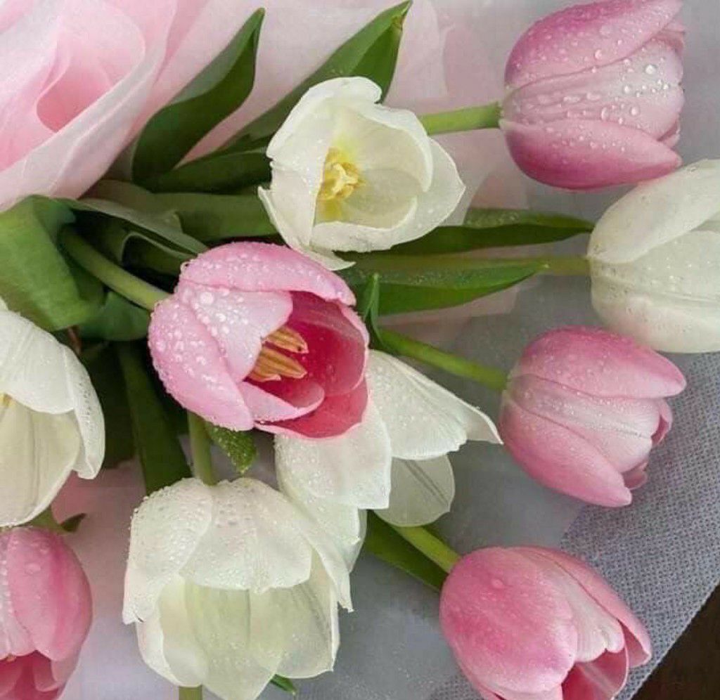 mon4716's tweet photo. @Noona51814387 หวัดดีครับผม 5ดอกครับ😊😊😁😁🌹 https://t.co/Ii7ZY7Qgxu
