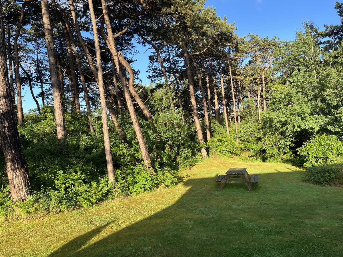 warnerbs's tweet photo. Dinsdag 9 juni, 06.43 u #ameland #hollumerbos #dagelijks https://t.co/bhyINKHU6J
