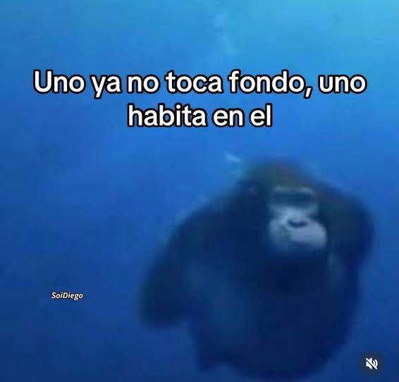 itzelromanoo's tweet photo. De cabrones yo esta semana 5 https://t.co/7vYvLthgFv