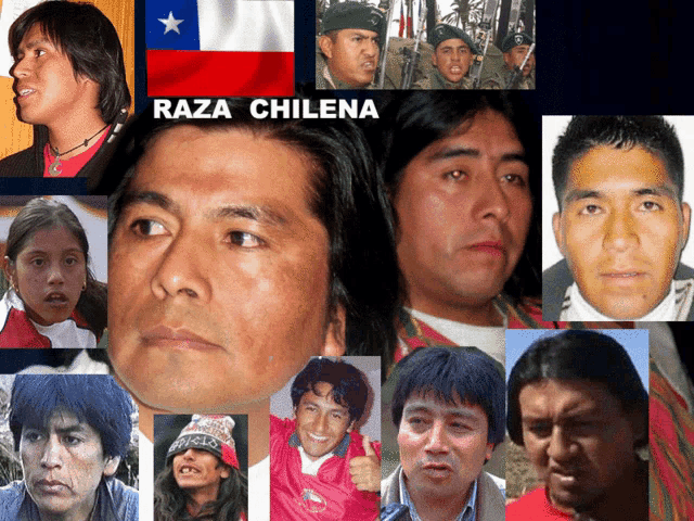ddd_tmo's tweet photo. @Chileangirlz @narbonachile "Un peruano no puede tratar de indígena a nadie… si junto a su hermano mellizo Bolivia son los países más indígenas de América." https://t.co/1OMPyAxsR3