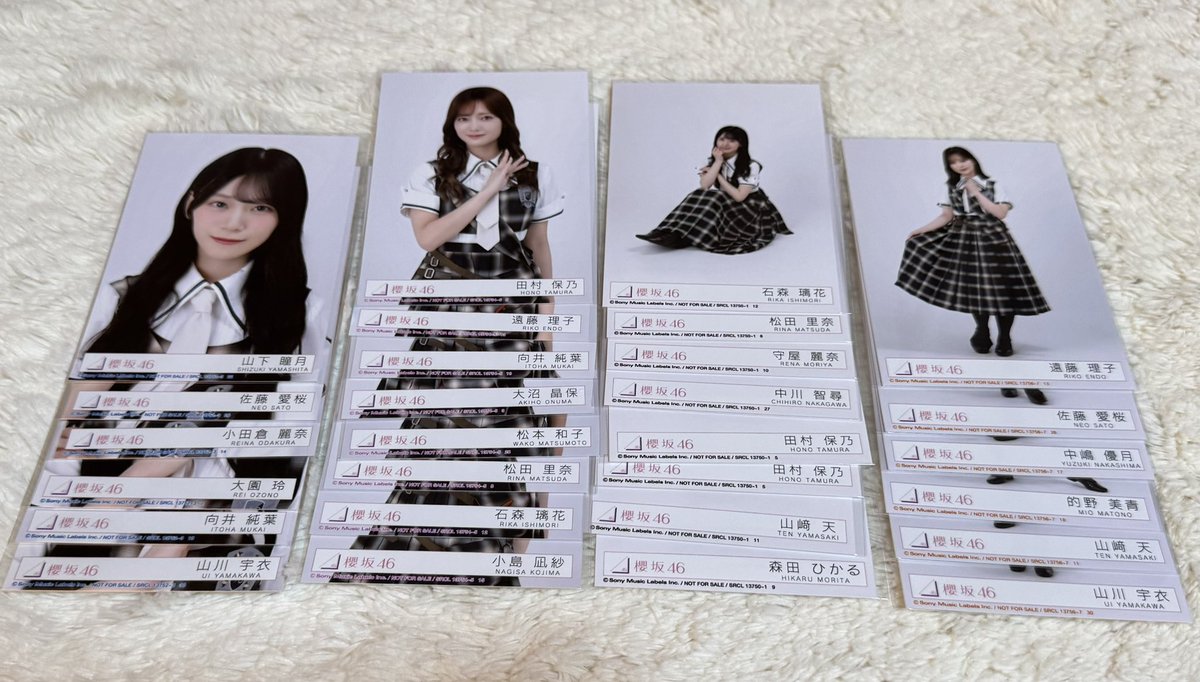 ____fjyskrn's tweet photo. 🌱 櫻坂 生写真 トレ

求 )  
藤吉 チュウ座り
増本 チュウ座りヒキ

譲 )  
画像のもの

櫻坂京都リアミ直トレまたは郵送トレ📮 https://t.co/raSCh6yhty