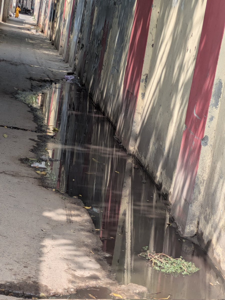 praveshkumar03's tweet photo. @noida_authority @InfoDeptUP @UPGovt @CensusIndia2027 @PankajSinghBJP @dr_maheshsharma @dmgbnagar @CeoNoida @myogiadityanath @SBM_UP @MoHUA_India यह मोरना सेक्टर 35 पंचायत घर की गली है जिसमें मोरना गांव में बने पंप हाउस मैं रह रहे नोएडा अथॉरिटी के कर्मचारियों द्वारा गली में सीवेज का पानी बाहर गली में बहाया जा रहा है, https://t.co/4AzqW3rtOP