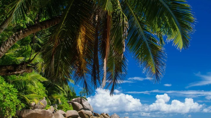 ZoomDestinos's tweet photo. Islas Seychelles por primera vez
https://t.co/T1UiIOSBC6 https://t.co/JgNGw7SgB7