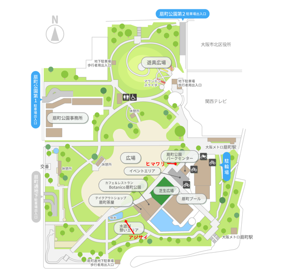 ogimachipark's tweet photo. #扇町公園 🌻扇町公園花情報🌻
園内のアジサイとヒマワリが少しずつ咲き始めました🌼
色鮮やかな花々が、初夏の訪れを感じさせてくれます♪
お近くにお越しの際は、ぜひ見つけてみてくださいね！
#アジサイ #ヒマワリ #季節の花 #梅雨の楽しみ https://t.co/nrew81GUzt