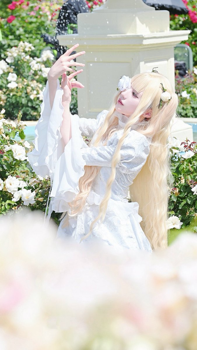 n_engl0__0's tweet photo. cos / RozenMaiden

⋆. ݁┈┈┈┈┈┈┈┈┈┈┈┈┈┈┈┈ ݁.⋆

第七ドールは幻の中にしか存在し得ない

⋆. ݁┈┈┈┈┈┈┈┈┈┈┈┈┈┈┈┈ ݁.⋆

📸┊︎@hoshihirou 

#JCF京成バラ園
#ド根性薔薇乙女0531 https://t.co/Vo6h5pd8oD