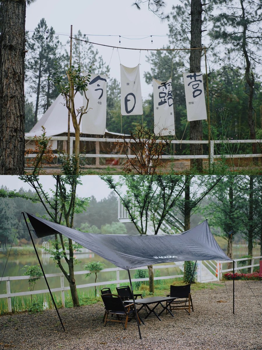 bedhur_cool's tweet photo. Woke up to the sound of birds u0026 warm sunlight filtering through the tent — this is exactly the slow magic we needed https://t.co/pzTf99PJ8w
