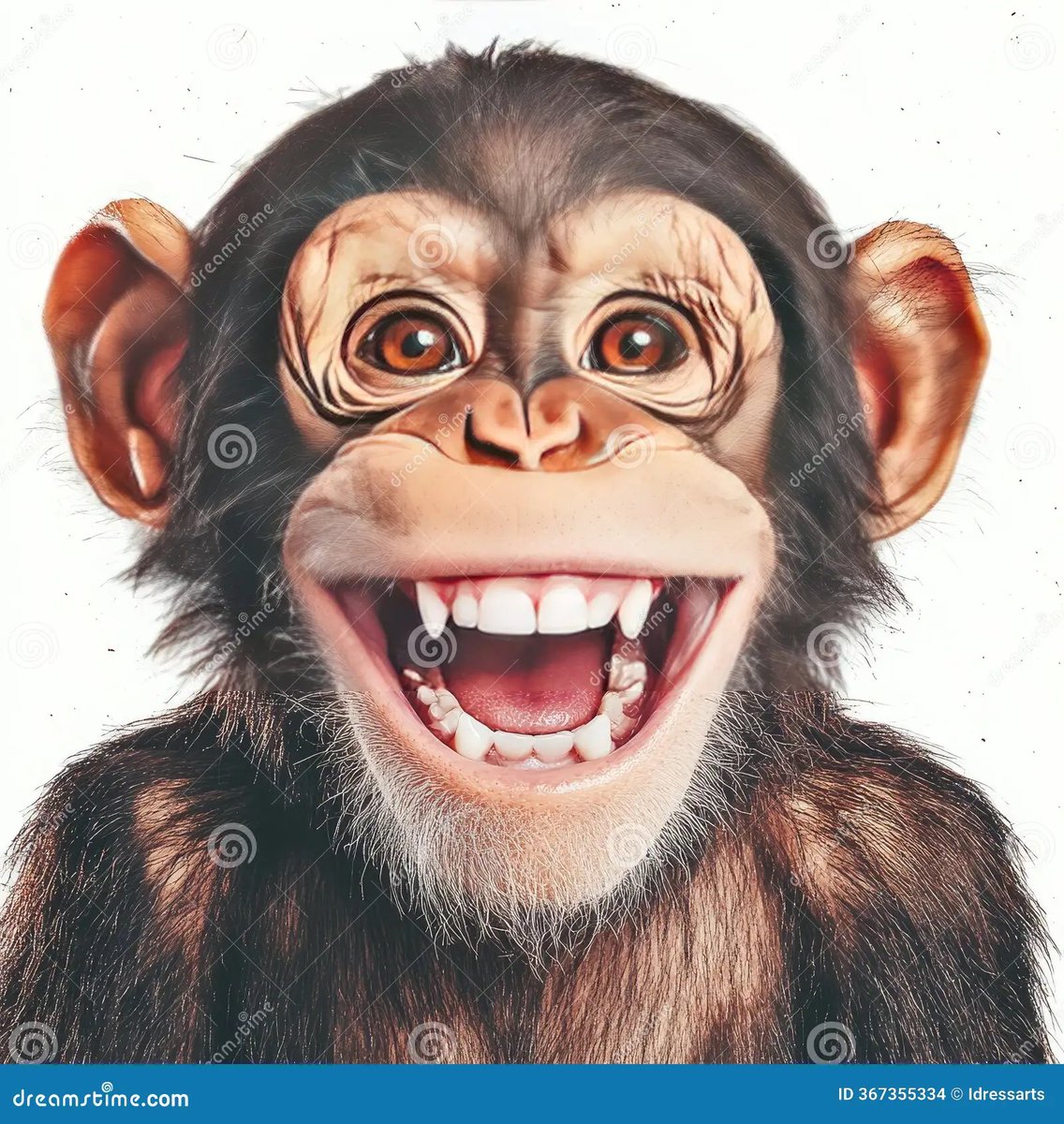 private01x's tweet photo. @forbiddenmerch I’ve never got the black people look like monkey thing but he actually looks like one https://t.co/KmQcQwn634