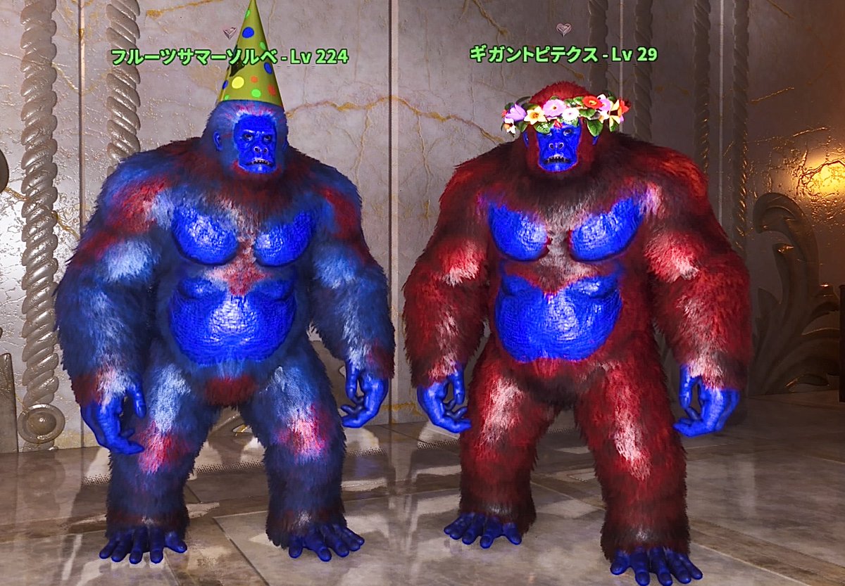 4646Ruby's tweet photo. フルーツサマーソルベにお嫁さんを迎えました⟡.·

名前募集中です🦍🎀

なければゴルみかゴブキになります🫢 https://t.co/spnFuyg8R8