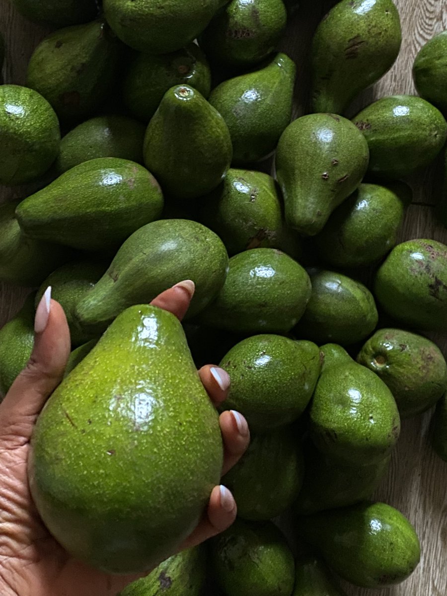 Tochi__Queen's tweet photo. Fruitful day to us all 🥰 https://t.co/b75nTRC4hC