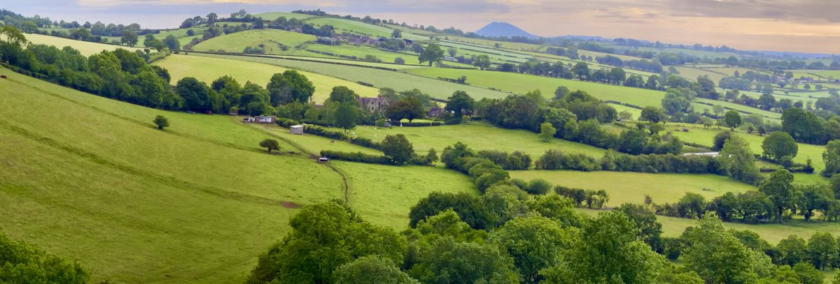 Aneedtopaint's tweet photo. From this morning’s walk before the rain arrived!! #Shropshire https://t.co/yoPxB5t3Ze