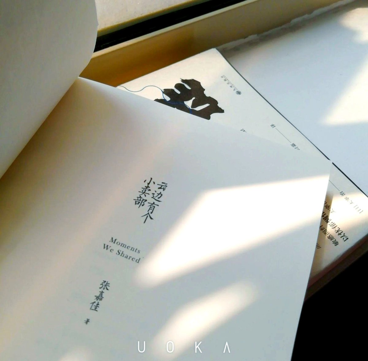 Pakaay12's tweet photo. 周末读了本戳中内心的散文，字里行间满是烟火暖意，读完好想把眼前的细碎日常都过成诗～ https://t.co/IPunAXSHDg