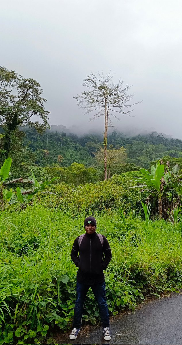 AbiluTangwa's tweet photo. The Amazon isn’t just “the lungs of Earth.”  
It MAKES its own rain. 20% of the world’s oxygen. 400B trees.  
We’re at 17% deforestation. Scientists say 20-25% = collapse.  
Do the math. Then RT. https://t.co/BDfZBAHp2C
