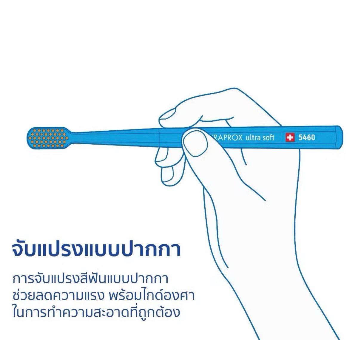 SoSplendidPM's tweet photo. สายแปรงฟันฮาร์ดคอร์กำด้ามแปรงสีฟันแบบพร้อมต่อยโปรดหยุดด่วน หมอฟันวอนให้เปลี่ยนมาจับแบบ pen grip มีประโยชน์กว่ามาก
- ลดแรงกระแทก ไม่ทำให้เหงือกร่น/คอฟันสึก
- เข้ามุมซอกเหงือก 45 องศาเป๊ะ ขจัดคราบพลัคในจุดที่แบคทีเรียสะสมหนาแน่นที่สุดได้
- นิ้วมือขยับแปรงเป็นวงเล็ก ๆ ได้พริ้วกว่าข้อมือ ซอกซอนที่แคบ ๆ ถึงฟันซี่ในสุดได้ เลยสะอาดกว่า
- พอแรงกดพอดี + องศาถูกต้อง = เหงือกไม่อักเสบ ไม่เลือดออกตอนแปรงฟัน
- เพิ่งรู้คนใช้แปรงด้าม 8 เหลี่ยมแบรนด์ Swiss นี้เยอะมาก จับแบบ pen grip ถนัด งบไม่เว่อร์ สีก็สวยมาาก รู้งี้ใช้นานแล้ว 🥹