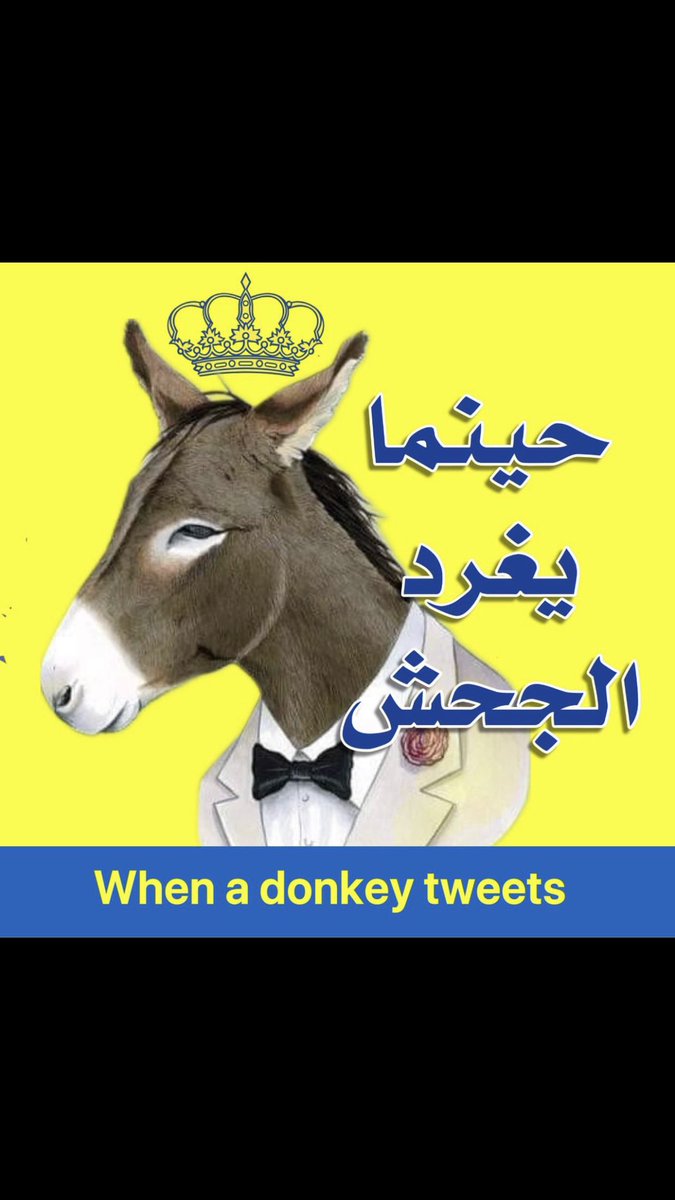 BountyAli's tweet photo. @zaidi161 https://t.co/c2qqhz5j4Y