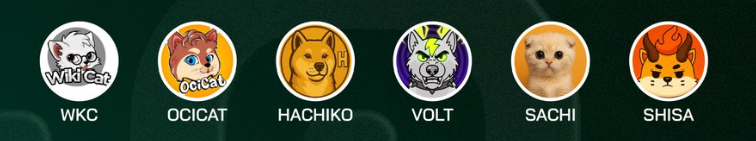 HotCommunities's tweet photo. $WKC V $OCICAT V $HACHIKO V $VOLT V $SACHI V $SHISA