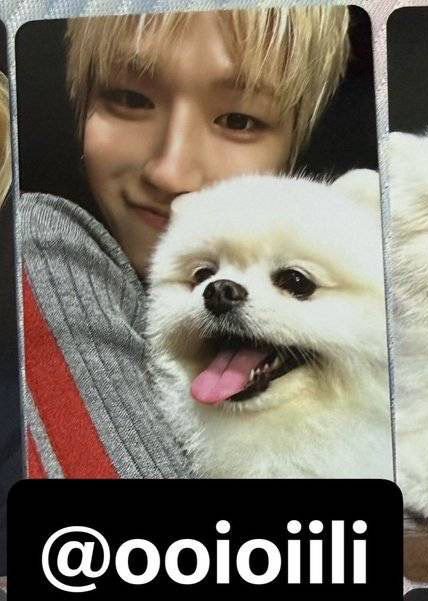 buraciw's tweet photo. JJANGI GONGJU SAMA OPPA &amp; KAKAK PRINCESS 😭😭😭😭😭😭 https://t.co/TUJHiJoR0t