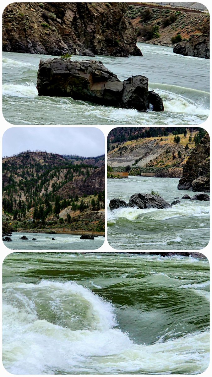 beesley_gillian's tweet photo. Have a tremendous Tuesday, Twitterpals, stay kind. #Frogrock #ThompsonRiver https://t.co/lVgFUhWtVO