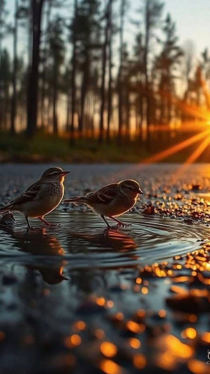 m_aviden's tweet photo. Günaydınn🕊🕊 #salı https://t.co/zJTaHiVJM2