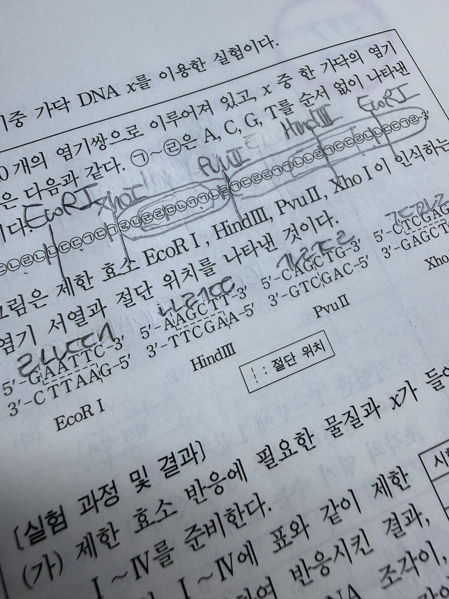 lifroab's tweet photo. #studytwt 제한효소 https://t.co/2WCCbfVlQk
