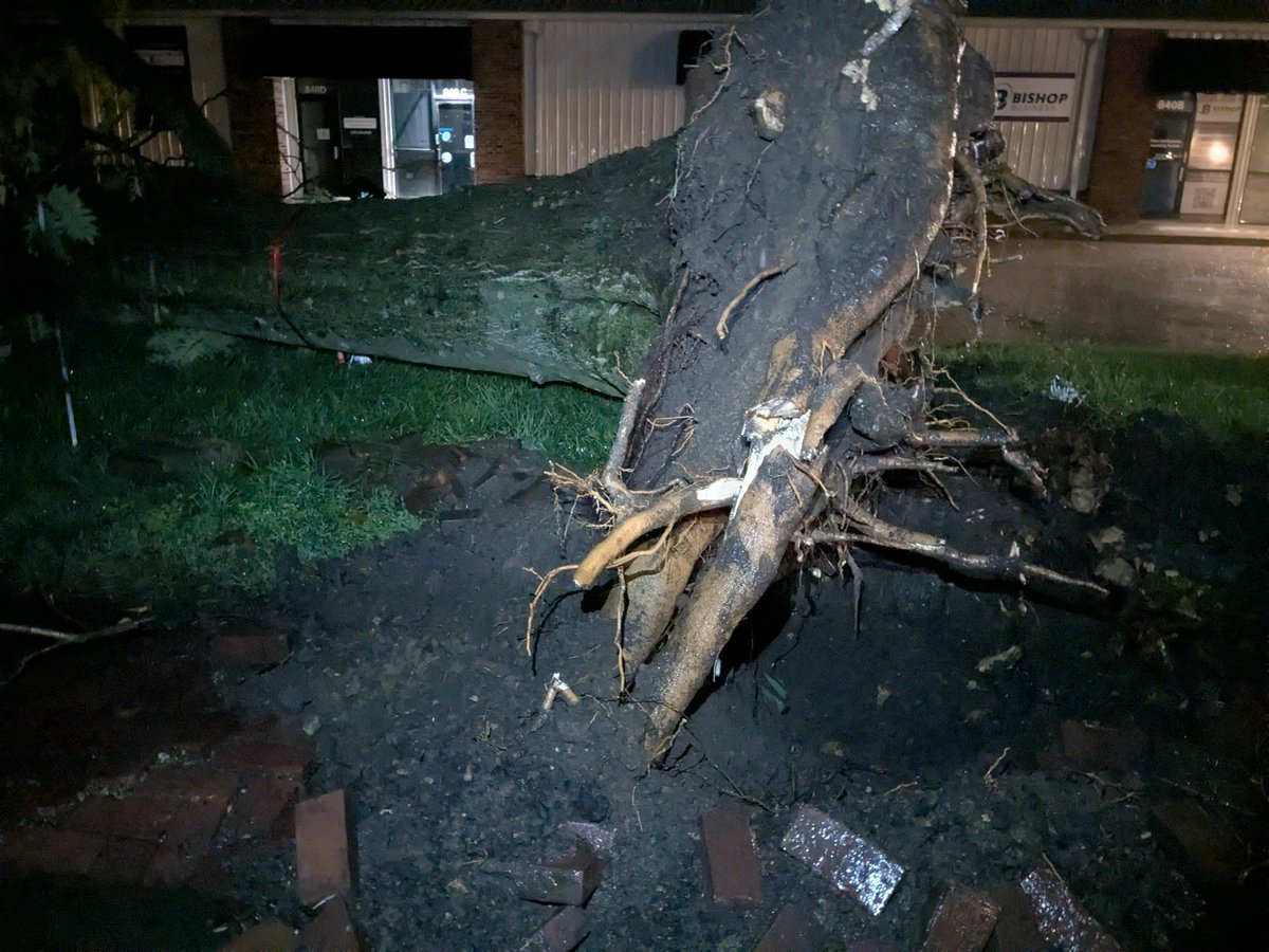 JPHX's tweet photo. Welp, hundred plus year old tree down at the commercial space at northeast corner of 9th and Connecticut and separately a large branch is blocking the southbound lane of Connecticut and 9th. #kswx #LFK https://t.co/ReI4ftuUuj