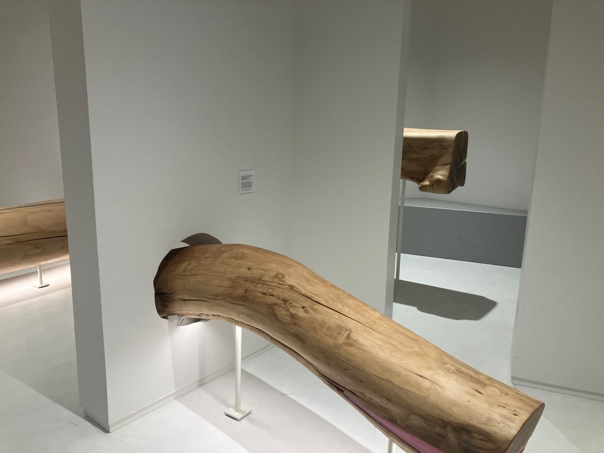 NAGOYA_iJU's tweet photo. ハエラのプレオープンに行きました☘️

確実に名古屋で一番キラキラな商業施設、爆誕！！！ゲートタワーモールやミッドランドよりキラキラしてる✨東京で言うとスクランブルスクエアぽい。
B1のカフェでアフタヌーンティーもやってて今度絶対いく！✨
「名駅」ではなく「栄」の時代を感じさせられた☺️ https://t.co/969sQZmphJ