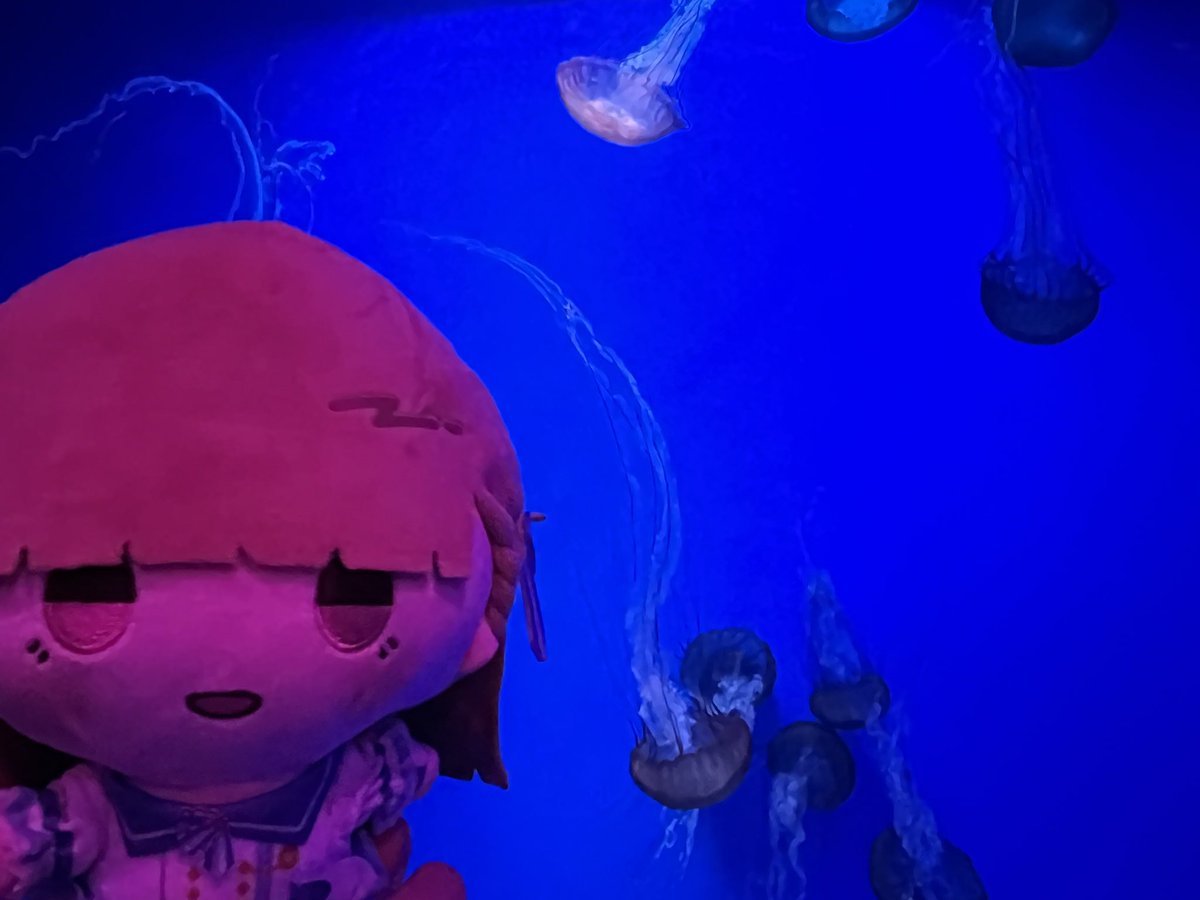 nmicha315_'s tweet photo. のとじま水族館来たにょ https://t.co/wWU6nrYMMM