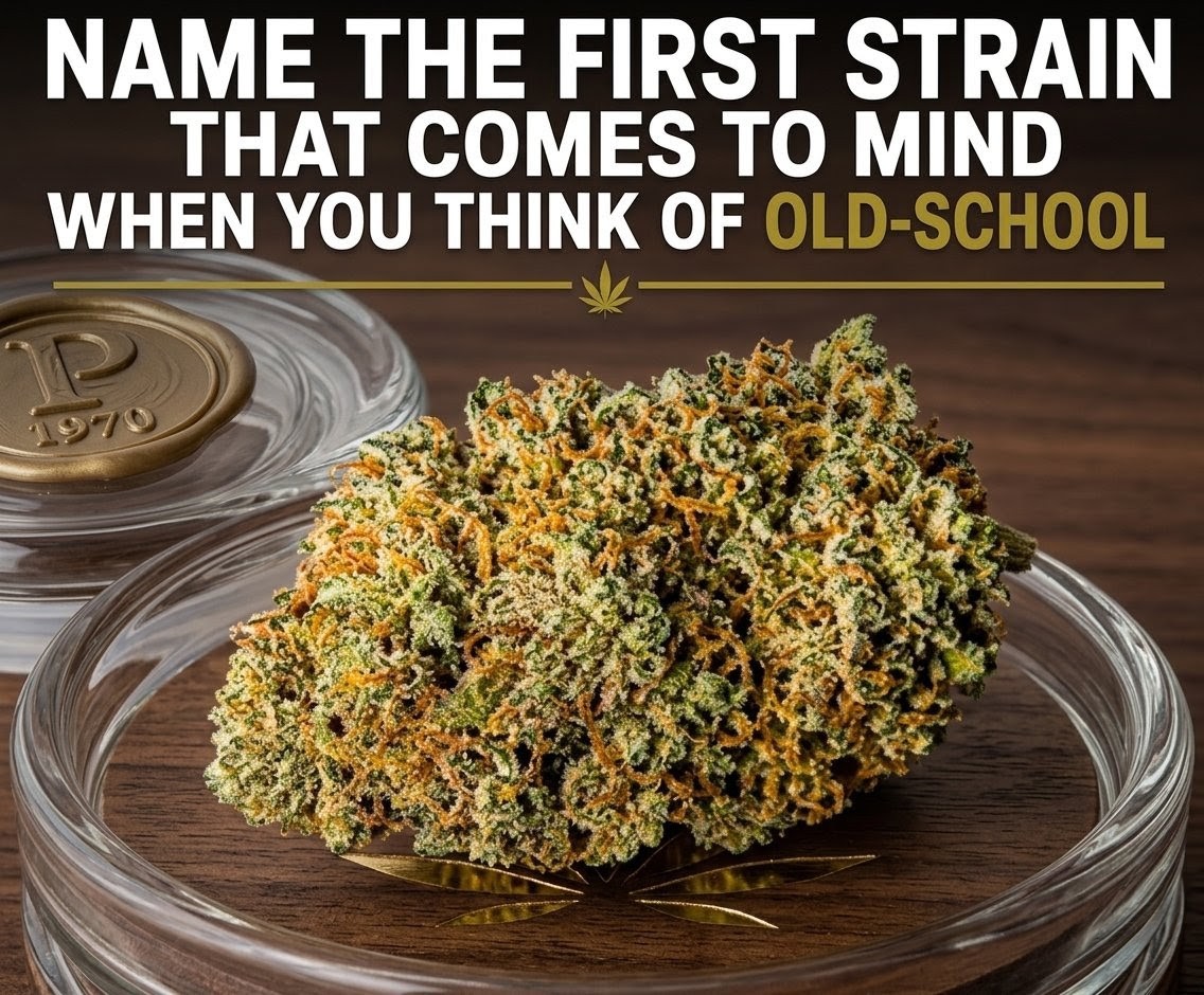 Artek Swaróg🌿💨🇵🇱 tweet media