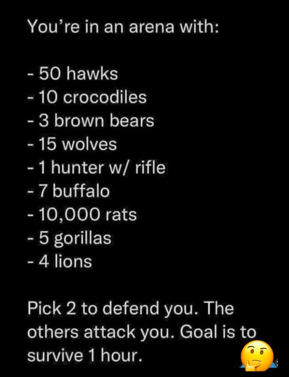 JayJosephVet's tweet photo. Stuck in a arena for 1 hour and you only get a choice of 2 to defend your life with: https://t.co/WLMXA0DC2y