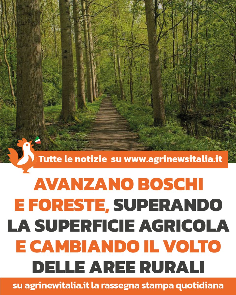 AgriNewsItalia's tweet photo. Per la prima volta dal Medioevo le foreste superano la superficie agricola italiana. https://t.co/xn3qNsMMp6
#foreste #agricoltura #territorio #ambiente https://t.co/kn9ypUMRHL