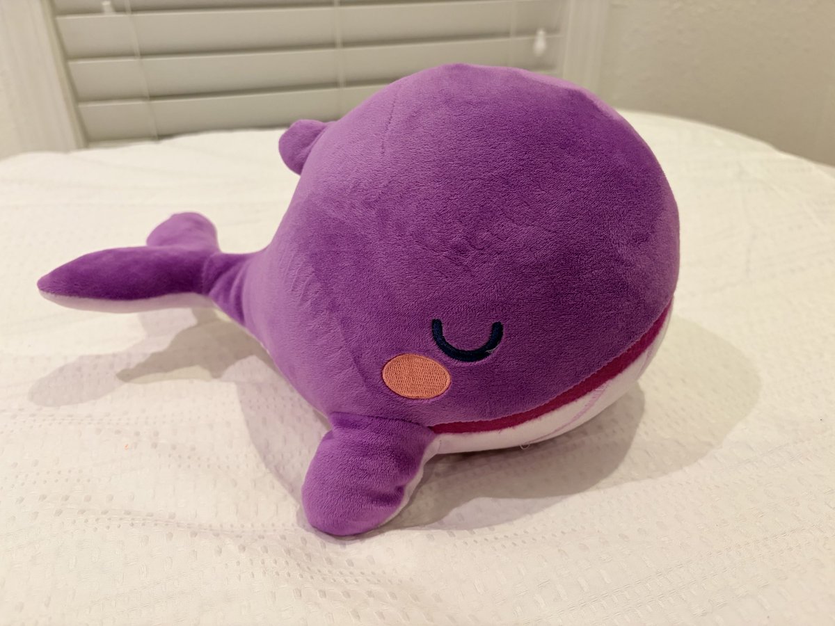 taempoline's tweet photo. a dear friend of mine helped me get this little guy. not even the army bomb made me feel so “army” as much as when i held this little guy in my hands https://t.co/hmpDCswngm