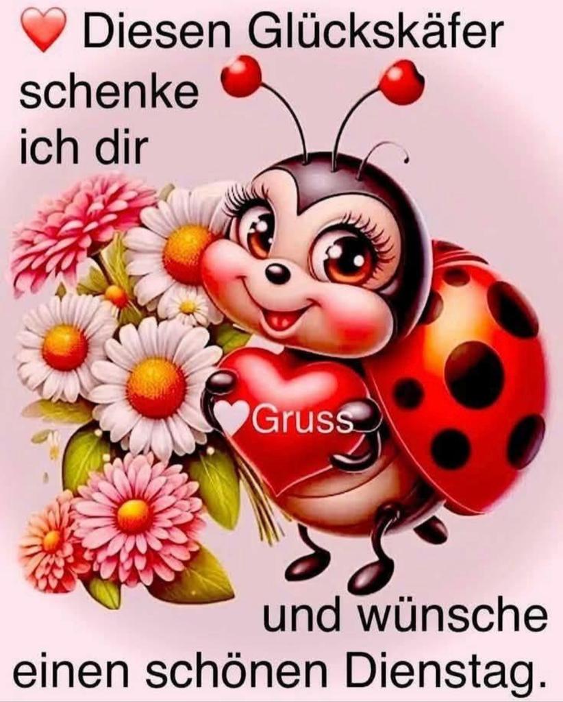 Knut112's tweet photo. @Schubskreis Moin https://t.co/i6qG0vDlLl