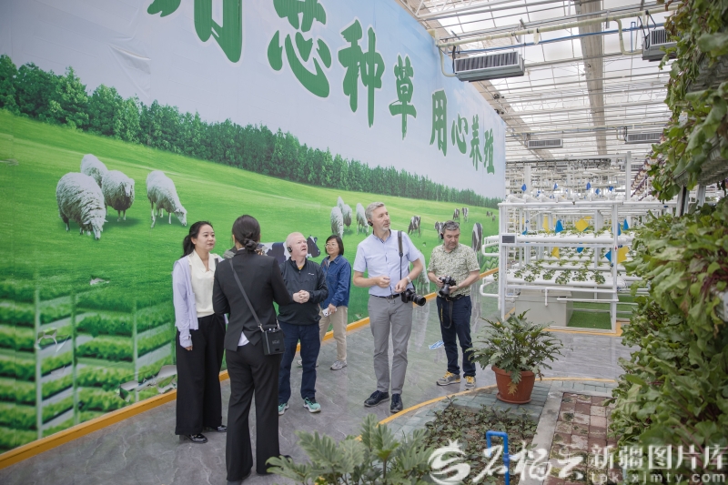Talkwith_Alex's tweet photo. Northern Ireland media delegation visited Xinjiang (May 24–27), touring Urumqi and Changji cultural, agricultural and tech sites. They called the trip inspiring and eye-opening, highlighting local development and future exchange potential. #Xinjiang #CulturalExchange #MediaVisit https://t.co/svgVWzUyen