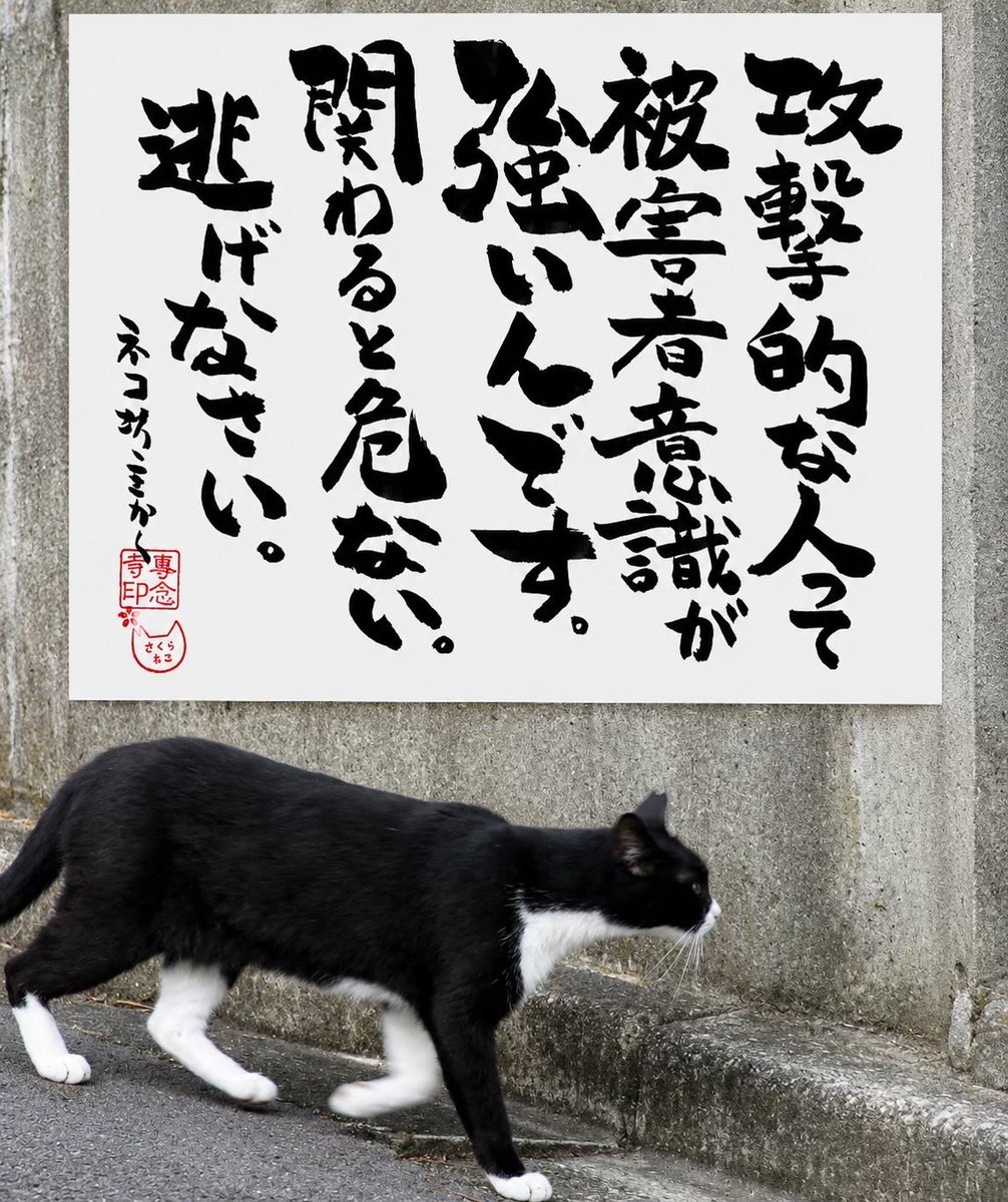 yabumoto610's tweet photo. @sharenewsjapan1 @takemuragenryu ネコさんから人間さんへ今日の一言 https://t.co/PBWxXqfa3f