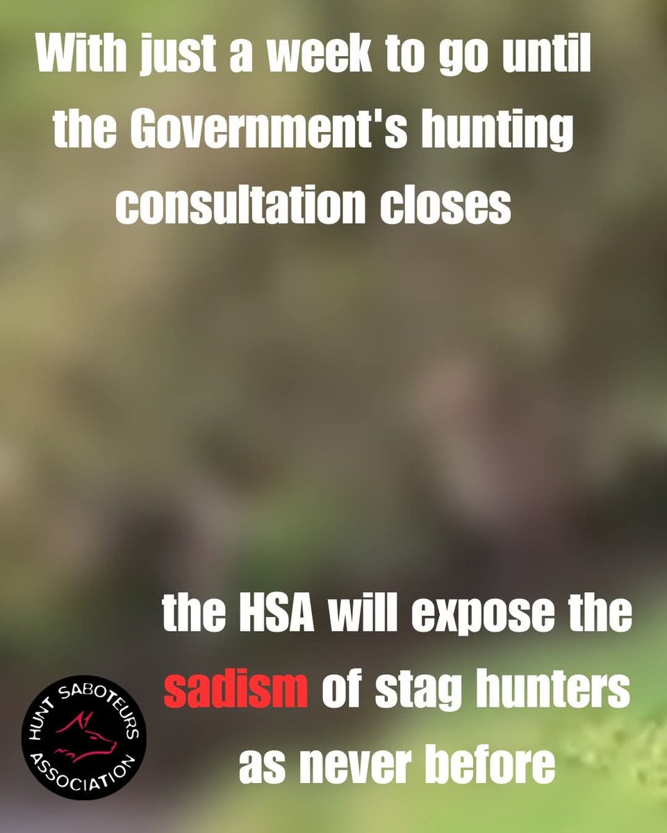 HuntSabs's tweet photo. 𝙎𝙖𝙙𝙞𝙨𝙩𝙞𝙘, 𝙨𝙞𝙘𝙠𝙚𝙣𝙞𝙣𝙜 𝙨𝙪𝙛𝙛𝙚𝙧𝙞𝙣𝙜 𝙖𝙩 𝙩𝙝𝙚 𝙝𝙖𝙣𝙙𝙨 𝙤𝙛 𝙖 𝙨𝙩𝙖𝙜 𝙝𝙪𝙣𝙩

This week the HSA will be releasing never before seen footage that epitomises the true extent of cruelty inflicted by stag hunts. It will completely blow away all the exemptions and loopholes they currently hide behind to reveal the true terror of what is happening in the South West.

Watch this space...