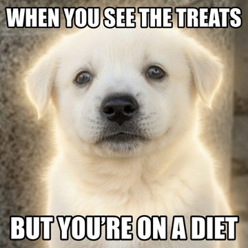 dohzofx's tweet photo. Found a simple animal narra since the trenches are filled with slop

This dog named 강도리 (Gangdori) is going giga viral on x and youtube

this is like the chinese billy, the quote tweeted post has 1m views and the youtube channel is going crazy and all the title's are just them meme'ing the dog

https://t.co/Wqc19Tt1lD

https://t.co/xk3ckA6Rtn