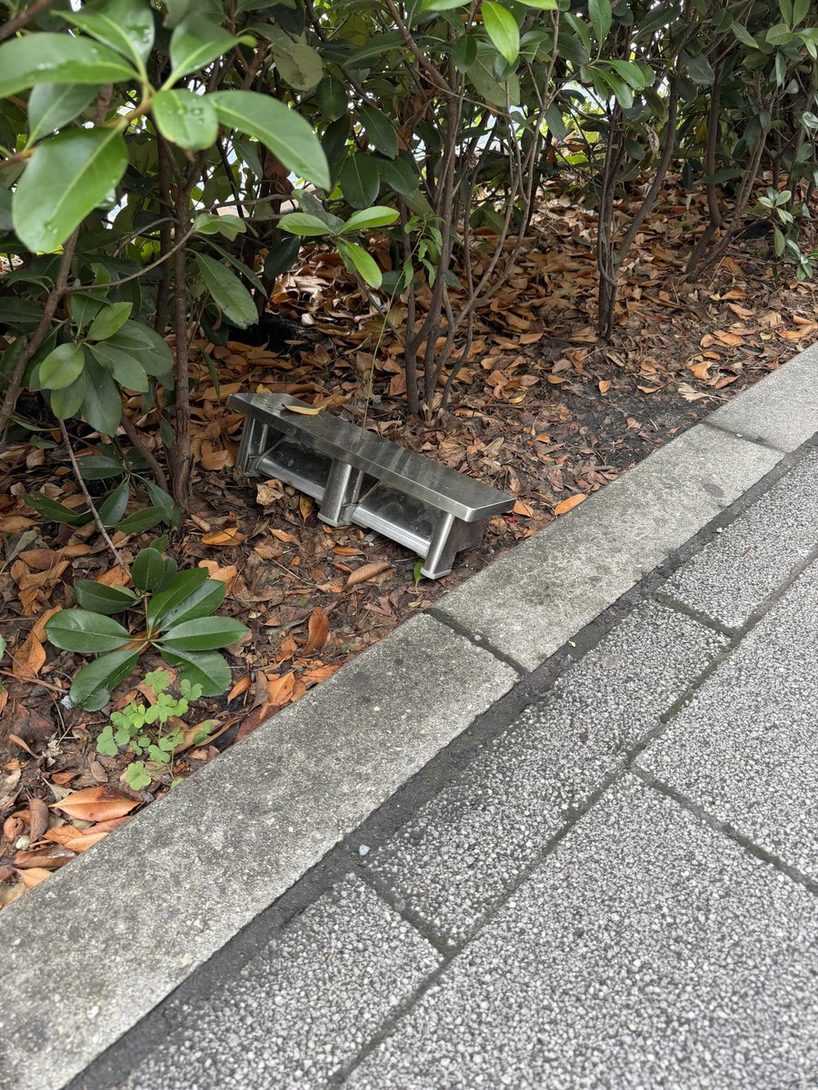 ぷら tweet media