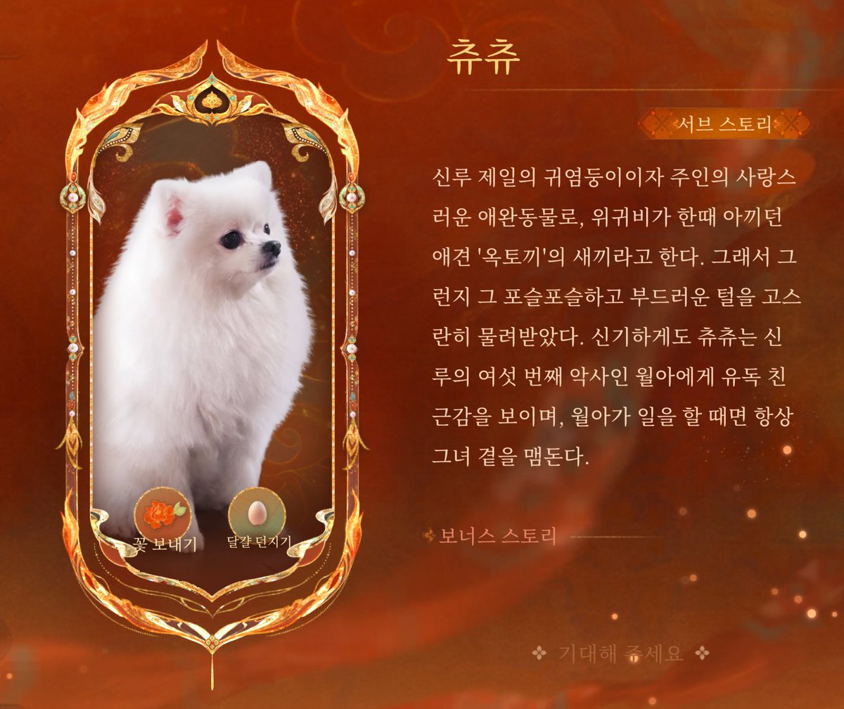 mytensirosy's tweet photo. 신루 제일의 귀염둥이 << 이거보고개터졋다가 
츄츄 옥토끼가낳은아기가나디라는거보고  썅 ㅜㅜ https://t.co/4FzhP5ynBe