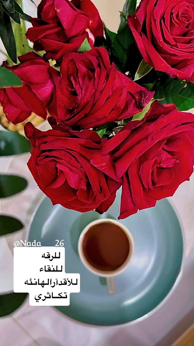 Nada___26's tweet photo. حين تكون روح الإنسان
 " وَطنُه 
لا يهم متى الوصول 
ف الى حيث تكون الوِجهه 
يسكُن الإطمئنان و النور❣️

#همسه_صباحيه https://t.co/5E2n6rePfS