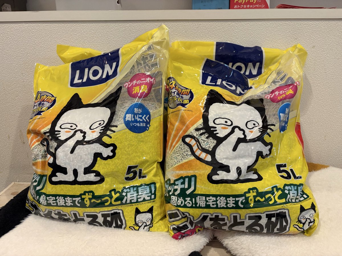 nyankuru's tweet photo. 【桜木町】
常連様より猫砂を頂きました🙌毎日消費しますので大変助かります🙇‍♂️ありがとうございます🤗
【桜木町店では現在23匹の猫ちゃんが新しい家族を待っています #里親募集 #猫カフェ】 https://t.co/Yc5tQ2C8tQ