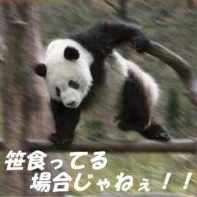 3代目脊髄 tweet media