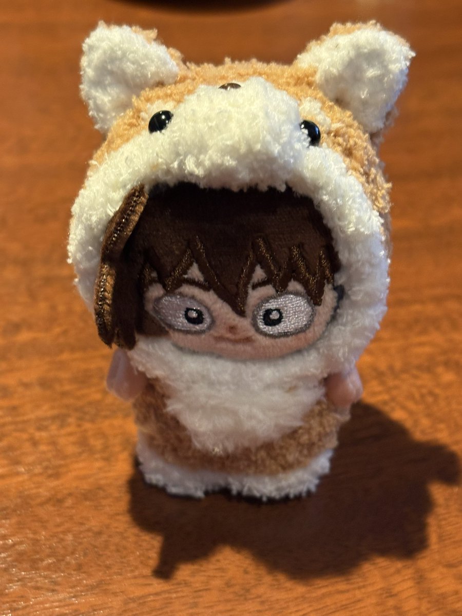 uni_son_19's tweet photo. 紹介するタイミングを失ってひっそりとお写真に映り込んでいたこちらの柴犬ちゃん、以前のイベントでゆぬさん(@une_nh )からお迎えさせていただいておりました...！🐕🍀
全方位可愛い...💓まろ眉としっぽが特にお気に入りです✨
ご縁をいただきありがとうございます🥰 https://t.co/ez4LpwZyHK