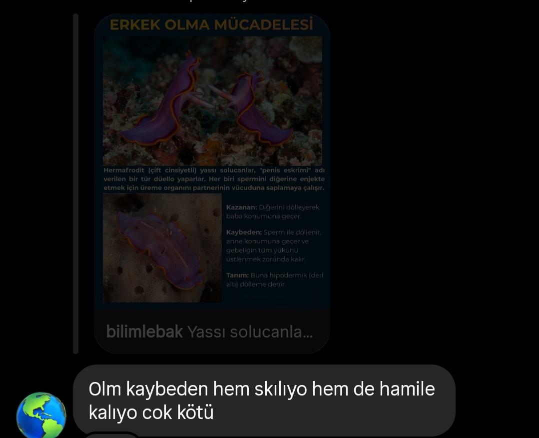 ciddendeli's tweet photo. hermafrodit yassı solucanların kılıcı keskin olan kazansın yarışına arkadaşımın yorumu https://t.co/PhfDnv5x0x