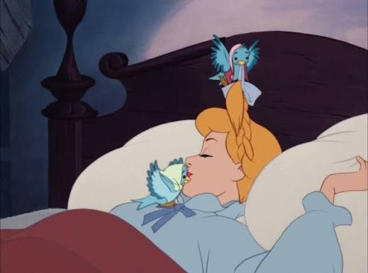 Alice5White's tweet photo. May you be gently awakened every morning https://t.co/efwXOygE7E
